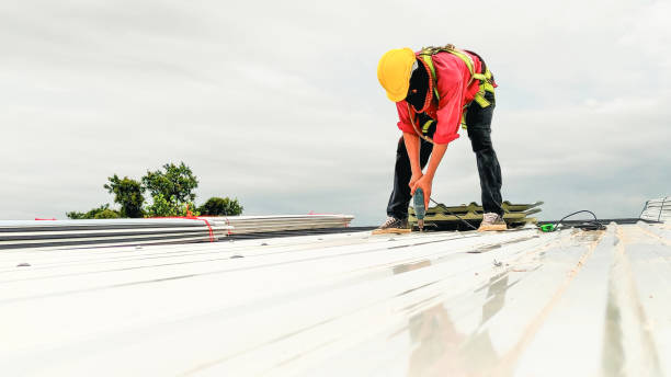 Best Metal Roofing Installation  in Nazareth College, NY